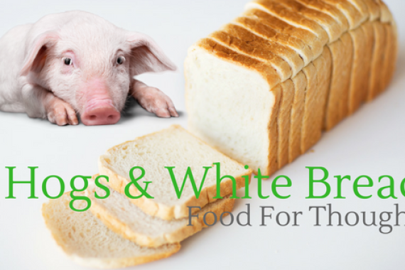 HOGS & WHITE BREAD